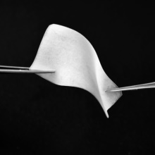 Мембрана кортикальная bioOST Cortical MEMBRANE, Cardioplant