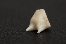 Изготовление культевой вкладки из оксида циркония ZrO2 (IPS e.max ZirCAD)